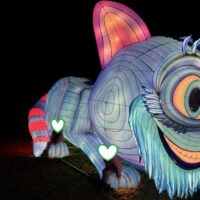 Grădina de lumini - Alice în Țara Minunilor București. Gradina Botanica